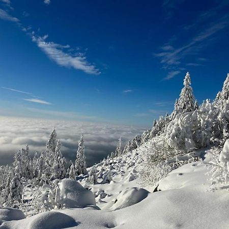 Kostelapartmany Liberec Eksteriør billede